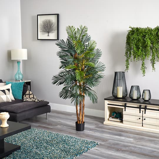 6ft. Potted Robellini Palm Tree
